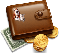 a wallet with money